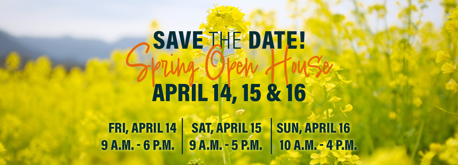 MoundView_SaveTheDate_Banner_032023 (1).jpg